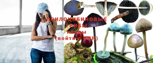 СК Белоозёрский