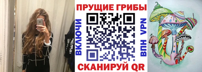 цена   Озёры  Псилоцибиновые грибы ЛСД 