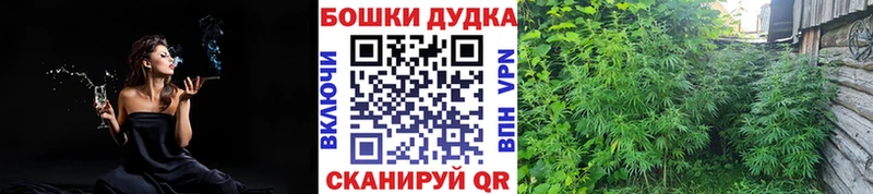 Марихуана конопля  Озёры 